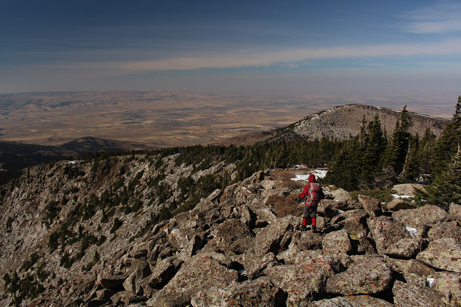 Definitely not the cakewalk I was expecting!