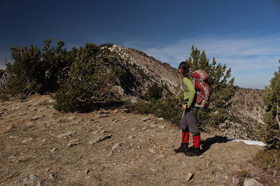 Yay, we finally have our cakewalk!