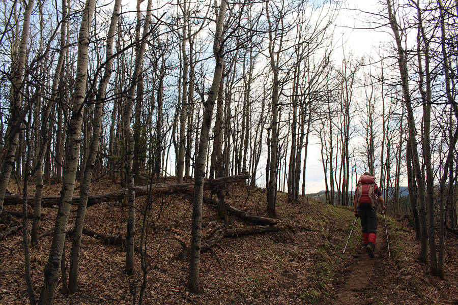 Feels like we skipped summer and went straight to fall!