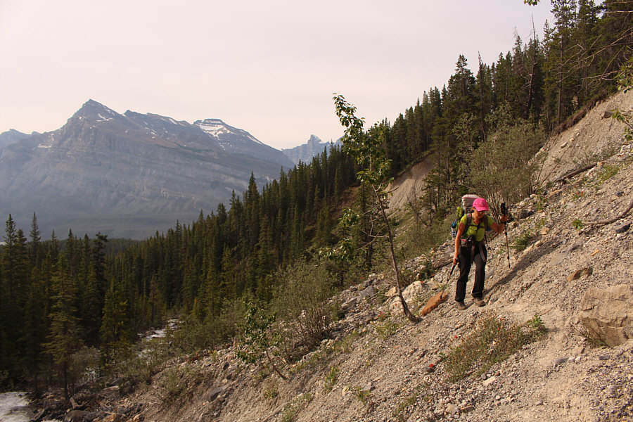 Still better than bushwhacking!