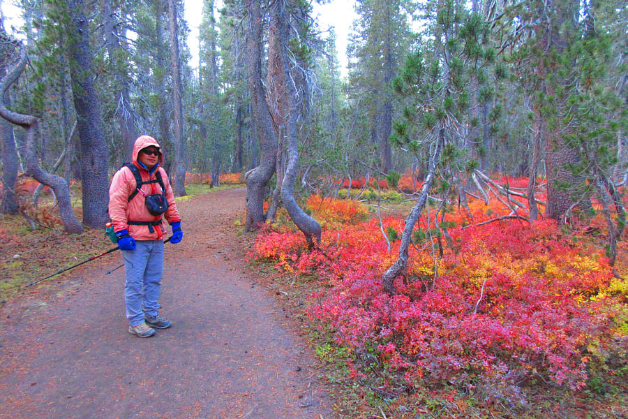 I think next year's vacation will be in Arizona or New Mexico!