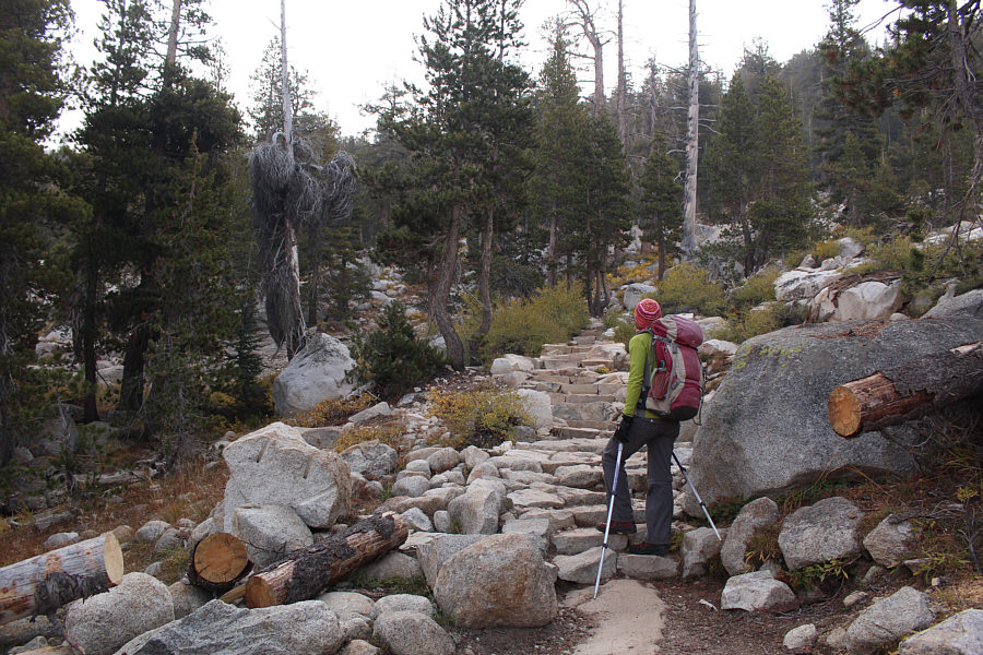 Lawrence Grassi would be proud!