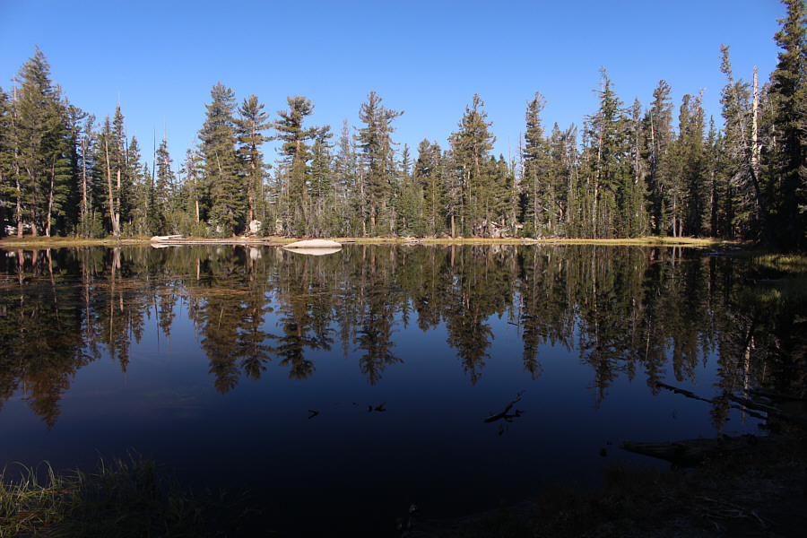 Not a bad place to camp but probably quite buggy in the height of summer.
