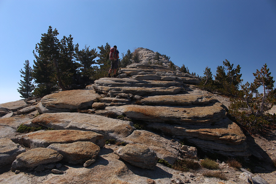 Looks like a stairway all the way to the top!