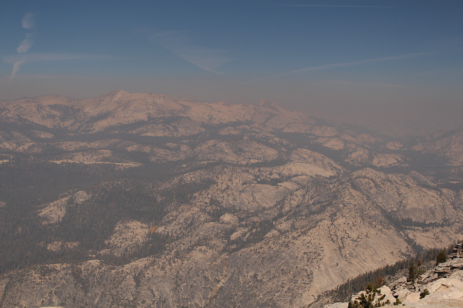 Can you spot the little triangle of yellow trees?