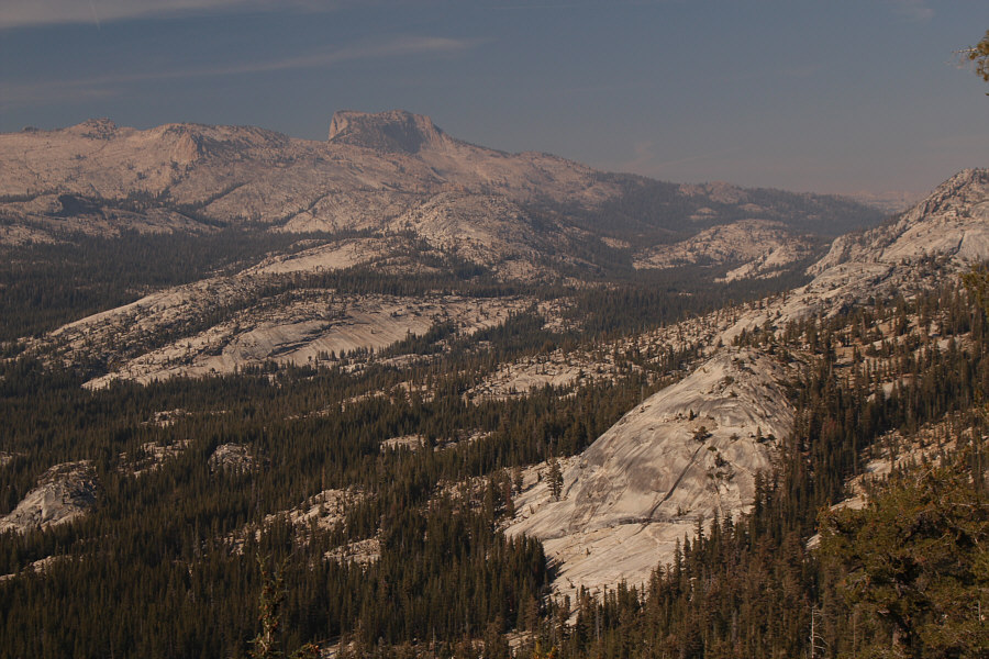 Looks like a great scramble...