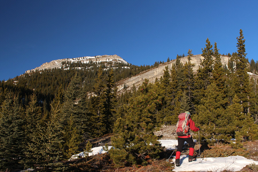 You didn't think it would be a cakewalk, did you??