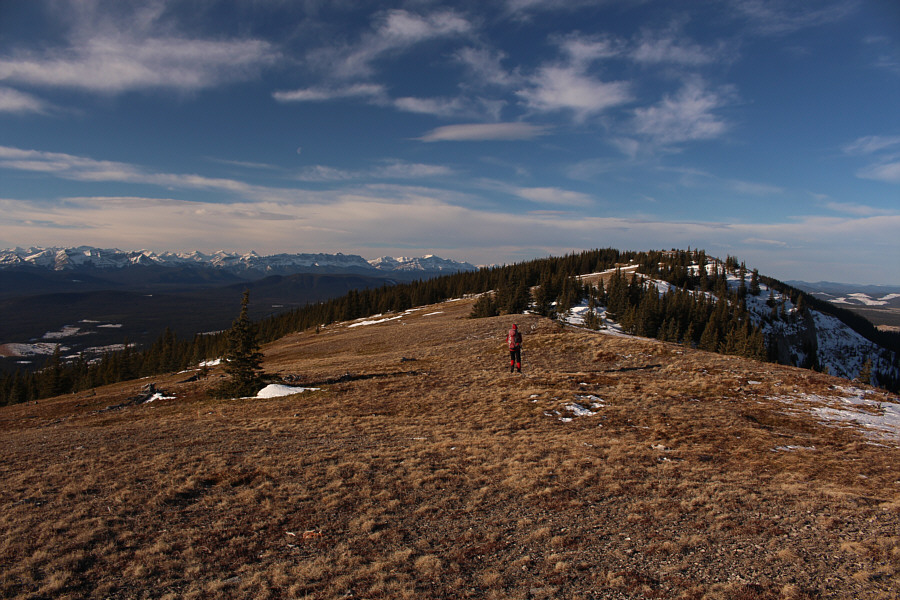 We still have a long way to go...