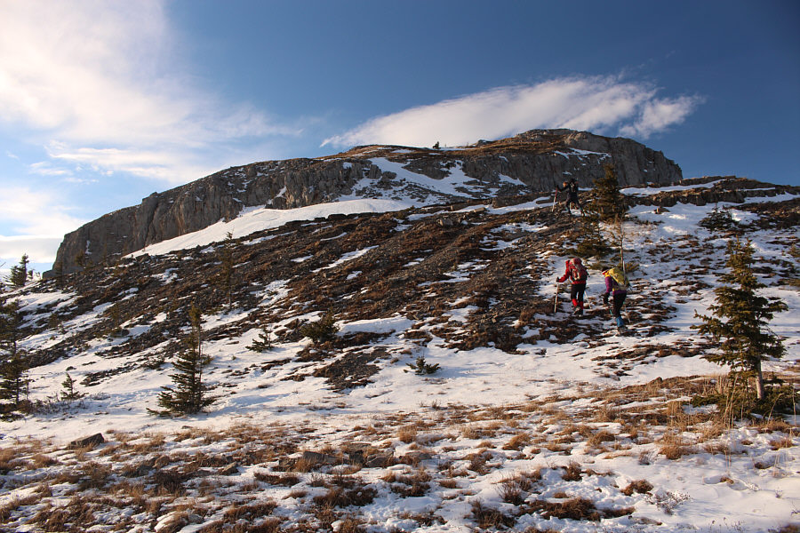 I think we're gonna make it this time!