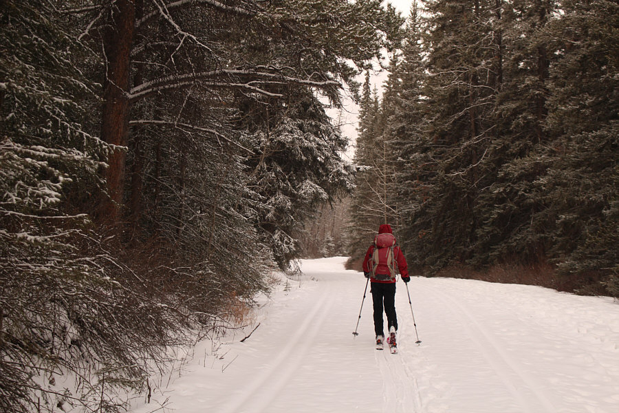 Maybe we should have brought light touring skis...