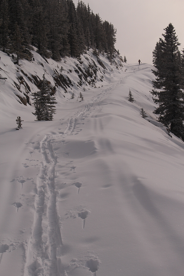 This should be fun to ski down!