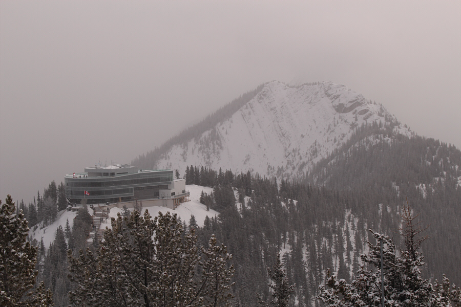 I should maybe visit the true summit of Sulphur Mountain one of these days...