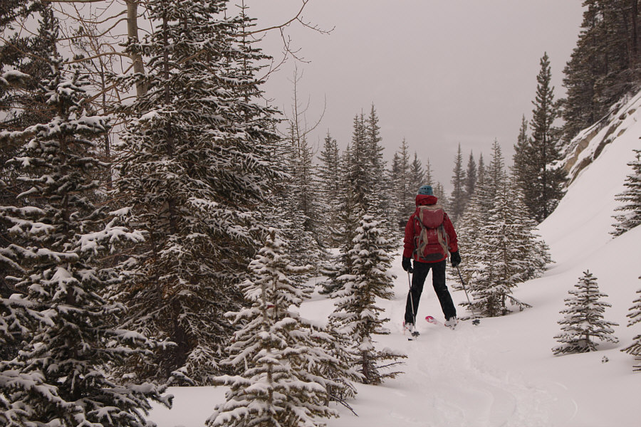 I think Zosia is ready for the next winter Olympics!