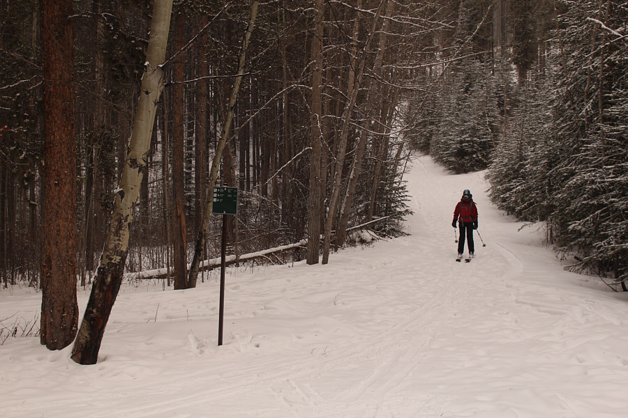 It took us about 48 minutes to ski down here.