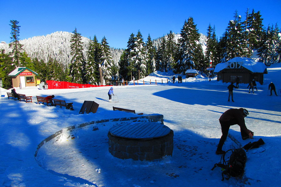 What's with all the walkers for the skaters? Give 'em a hockey stick!