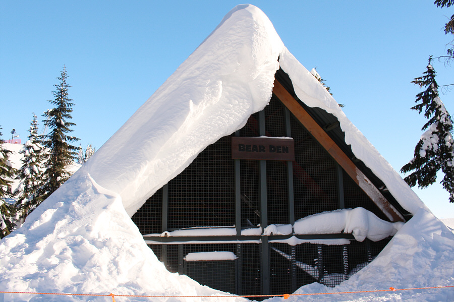 Grinder and Coola were apparently hibernating inside.