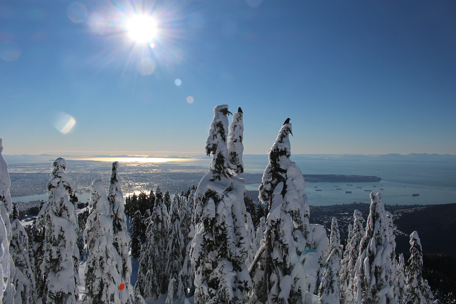 Let's play Battleship!