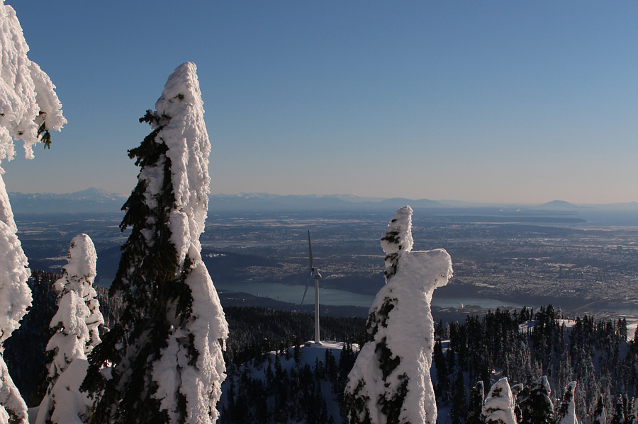 I didn't see it move at all on this day.