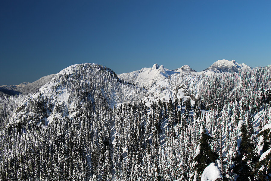 I have some unfinished business left on The Lions...