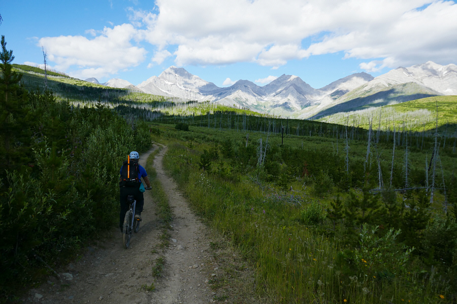 It would really suck to have to walk this!