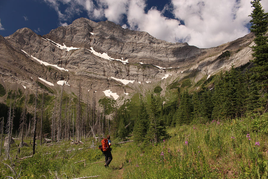 A chainsaw could make it easier to bike further up this road...