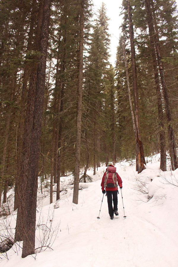 I guess this is officially now a ski'n'hike!