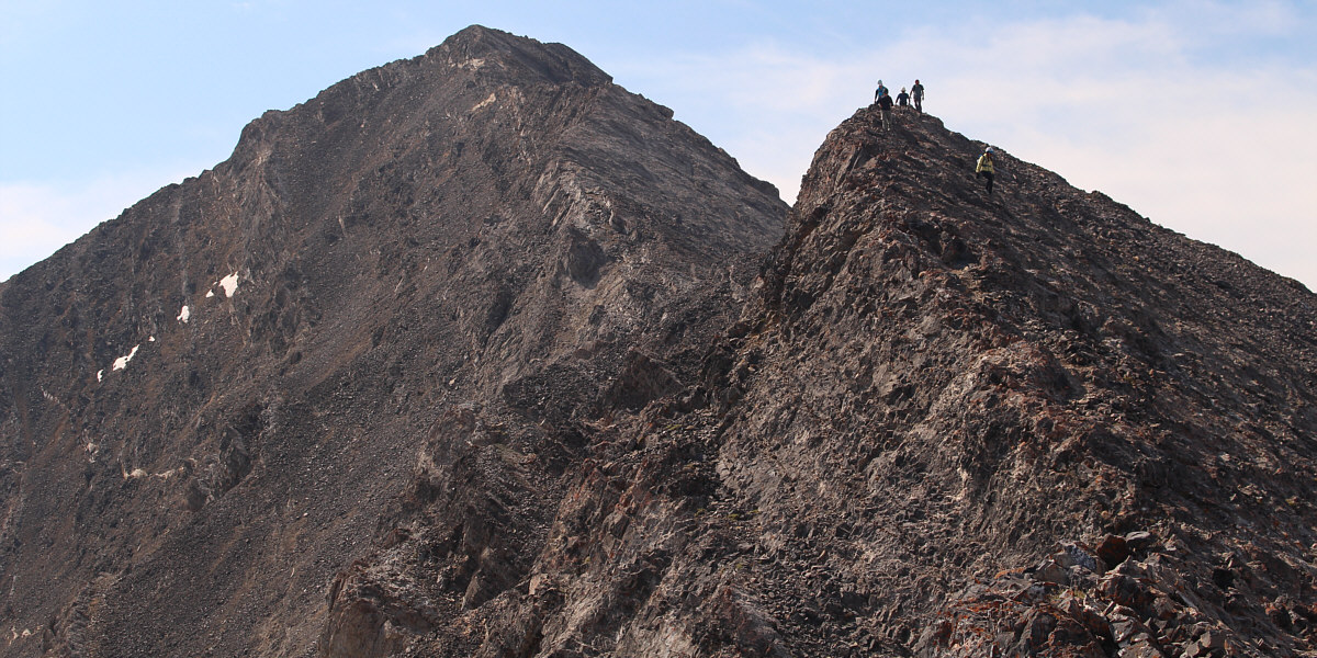 These locals also had a couple of dogs in tow!