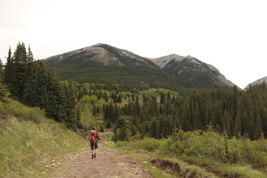 I think this is a pretty popular trail for both anglers and horse riders.
