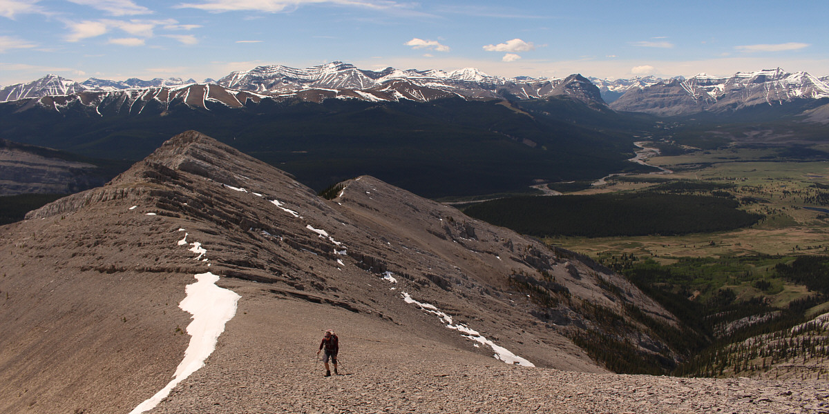 And the background is not too shabby either!