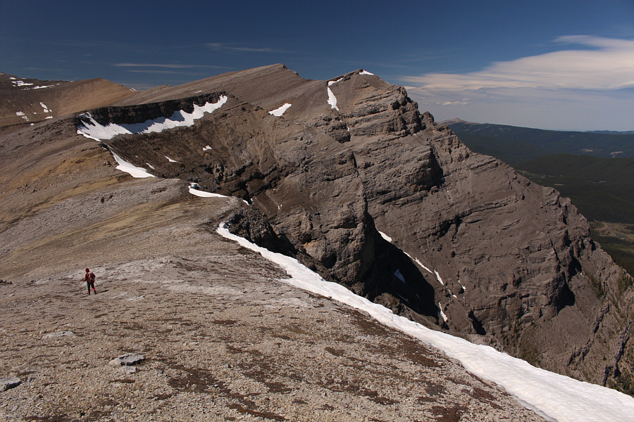 Take it one bump at a time!