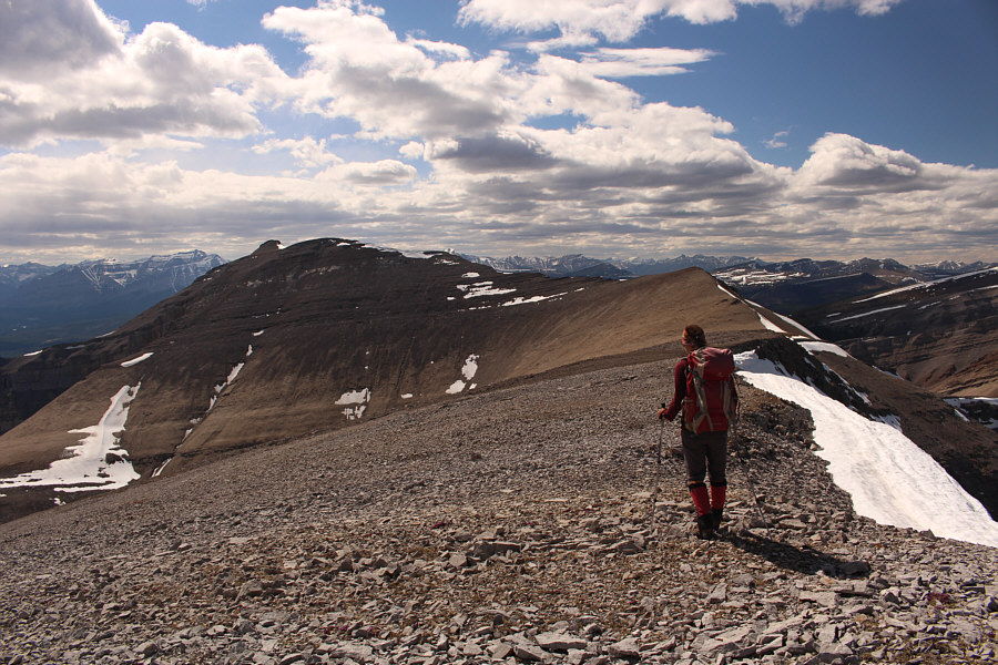 Well, I guess we're committed to continue at this point!