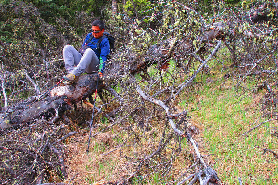 Don't worry. I've done this before!