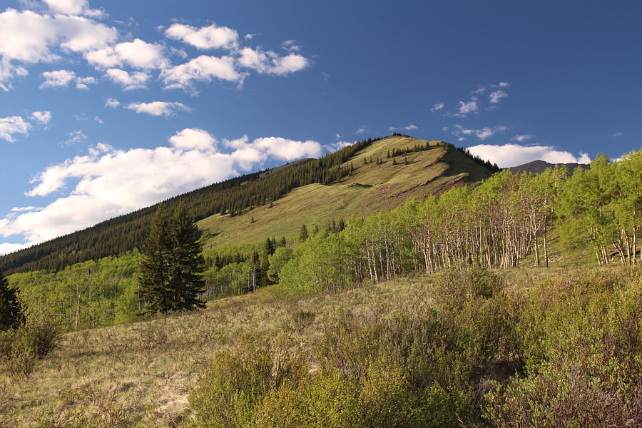 I think this is also known as "Poplar Ridge"...