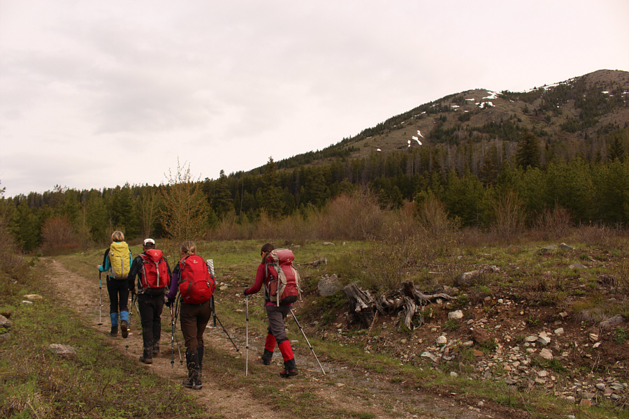 Oddly enough, the trail doesn't go up the open slopes on this side of the ridge...