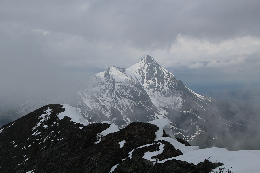 I don't usually like dogs, but that's one beautiful "Little Dog"!