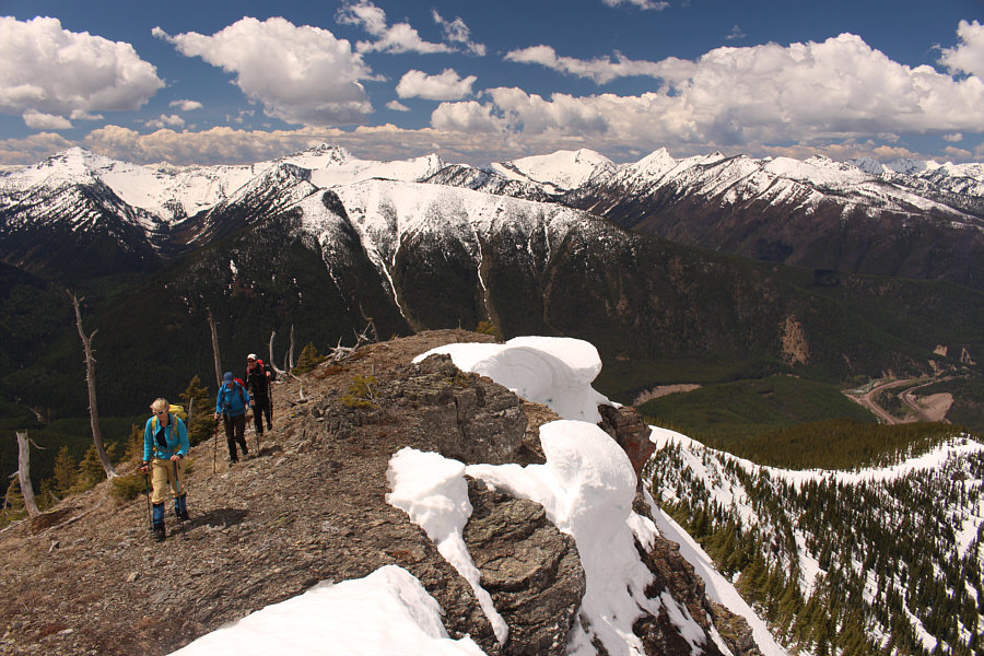 Can someone go stand on one so that I can take a picture?