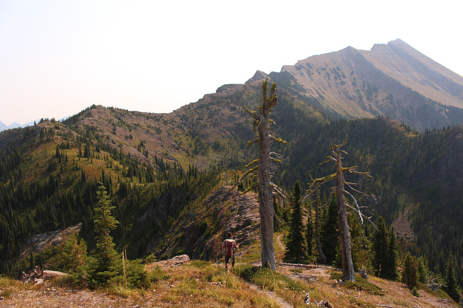Up, down, up, down, up, down...getting seasick yet?