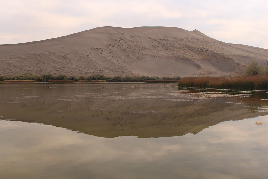 The lake smells a bit "fowl"...