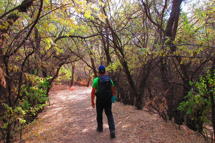 Unexpectedly pretty!