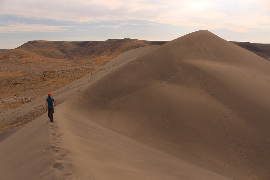 We should have rented a "sandboard"!