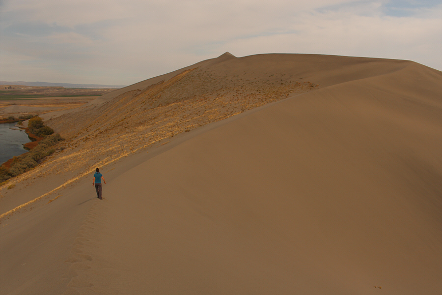 Cue the theme from "Lawrence of Arabia"!