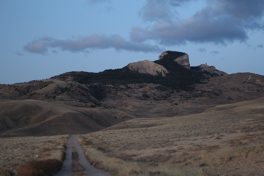 Keep an eye out for pronghorns roaming the grasslands around here!