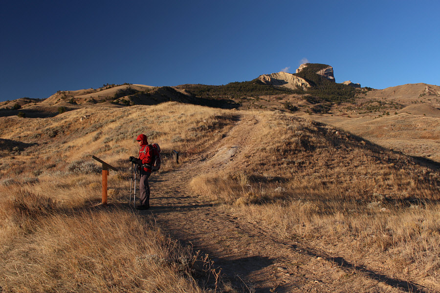 There are also smaller signs that identify various flora in the area.