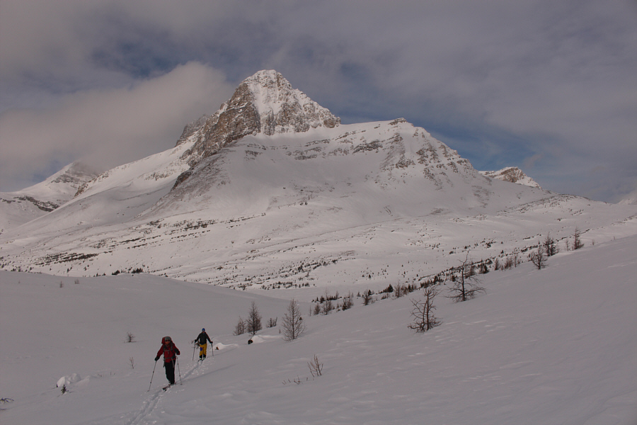 Who knew that a ptarmigan could be so dominant?