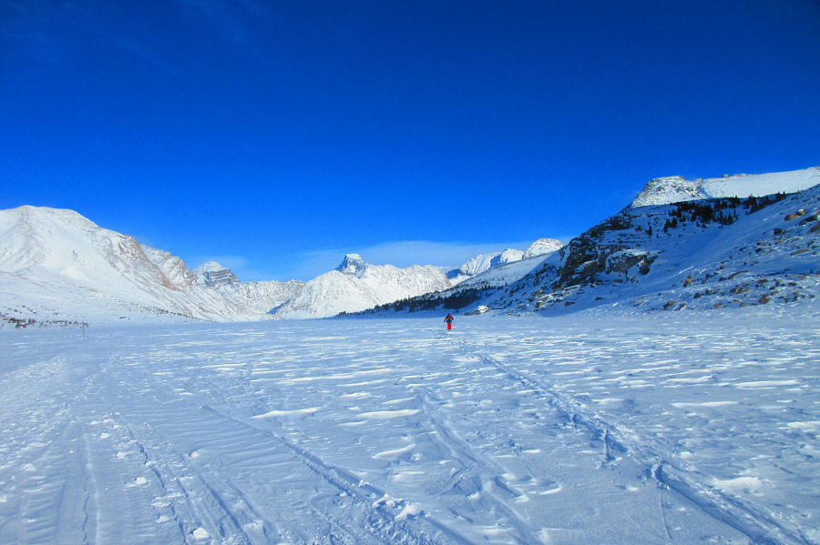 Maybe someone should throw me a rope...