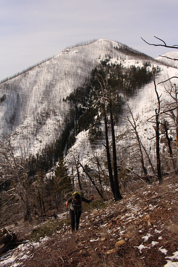 Interestingly, the most recent Google Earth images from 2016 show the ridge being mostly covered with green forest.