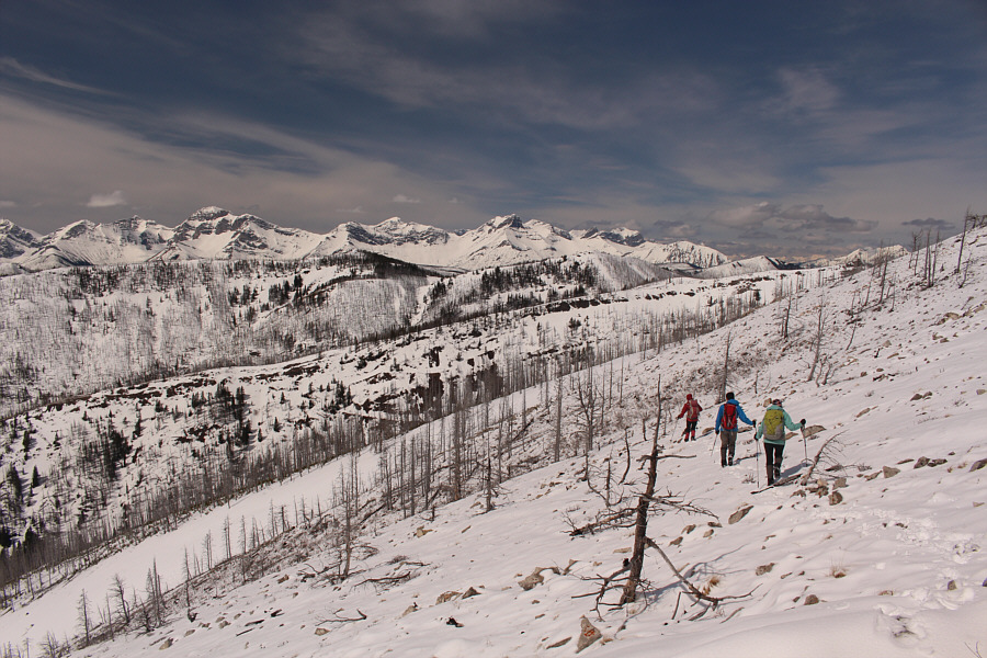 Looks like winter, feels like summer!