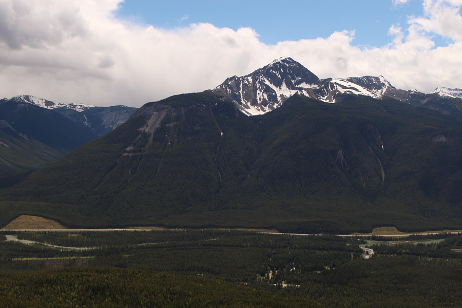 Another Kane Classic!