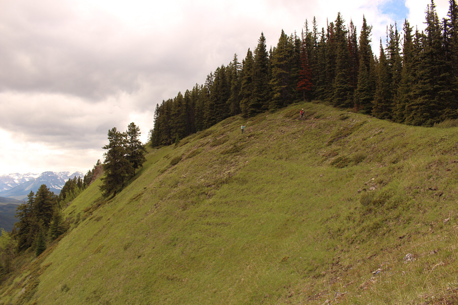 I wonder if anyone has skied this slope in winter...