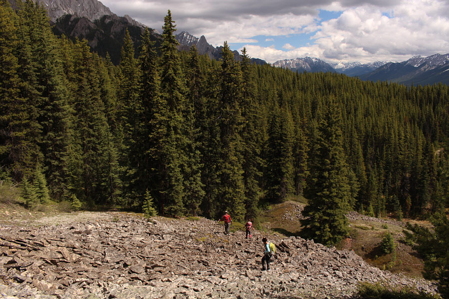 Don't worry. There's more monotony to come...